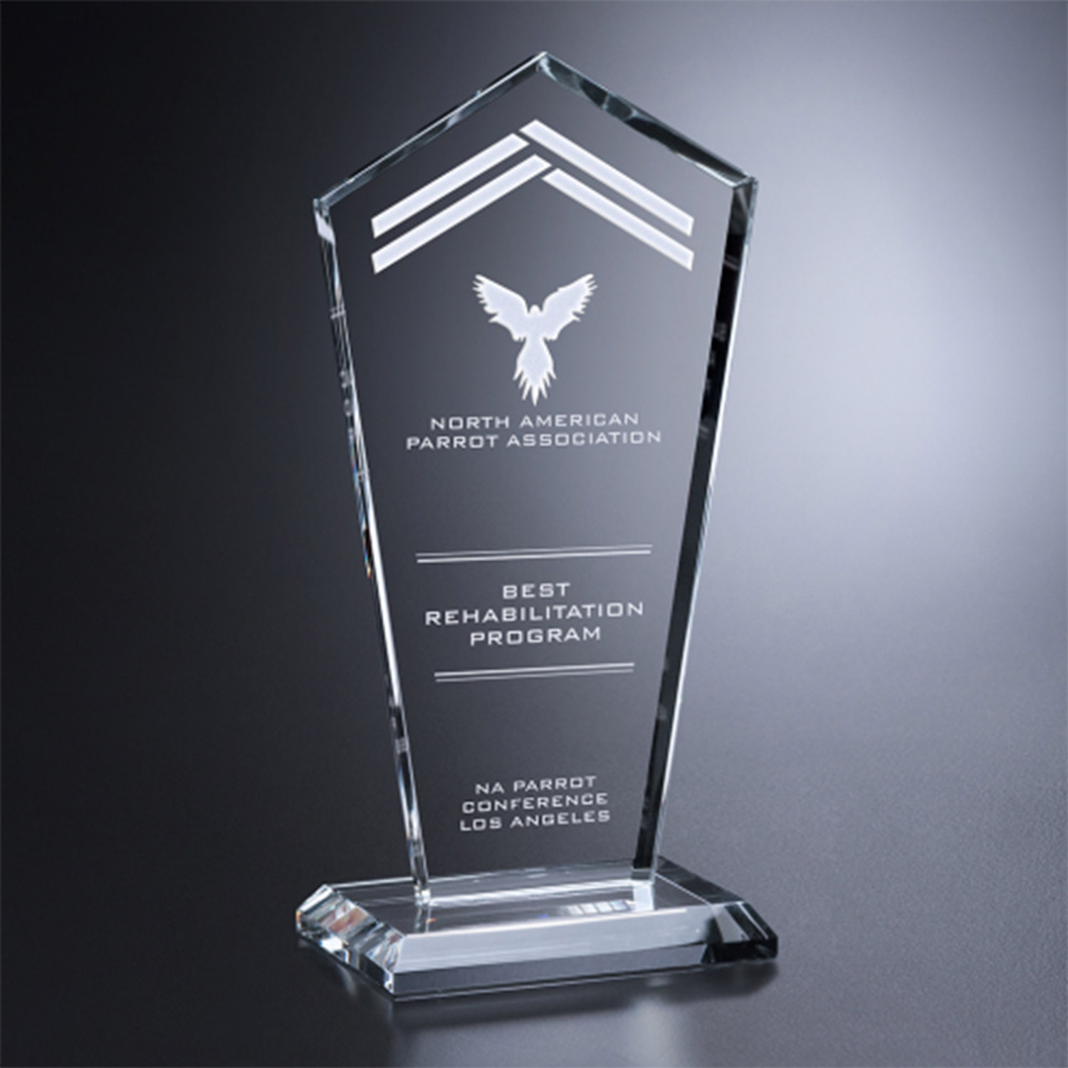 Pentagon Award 9.5 Inch 0