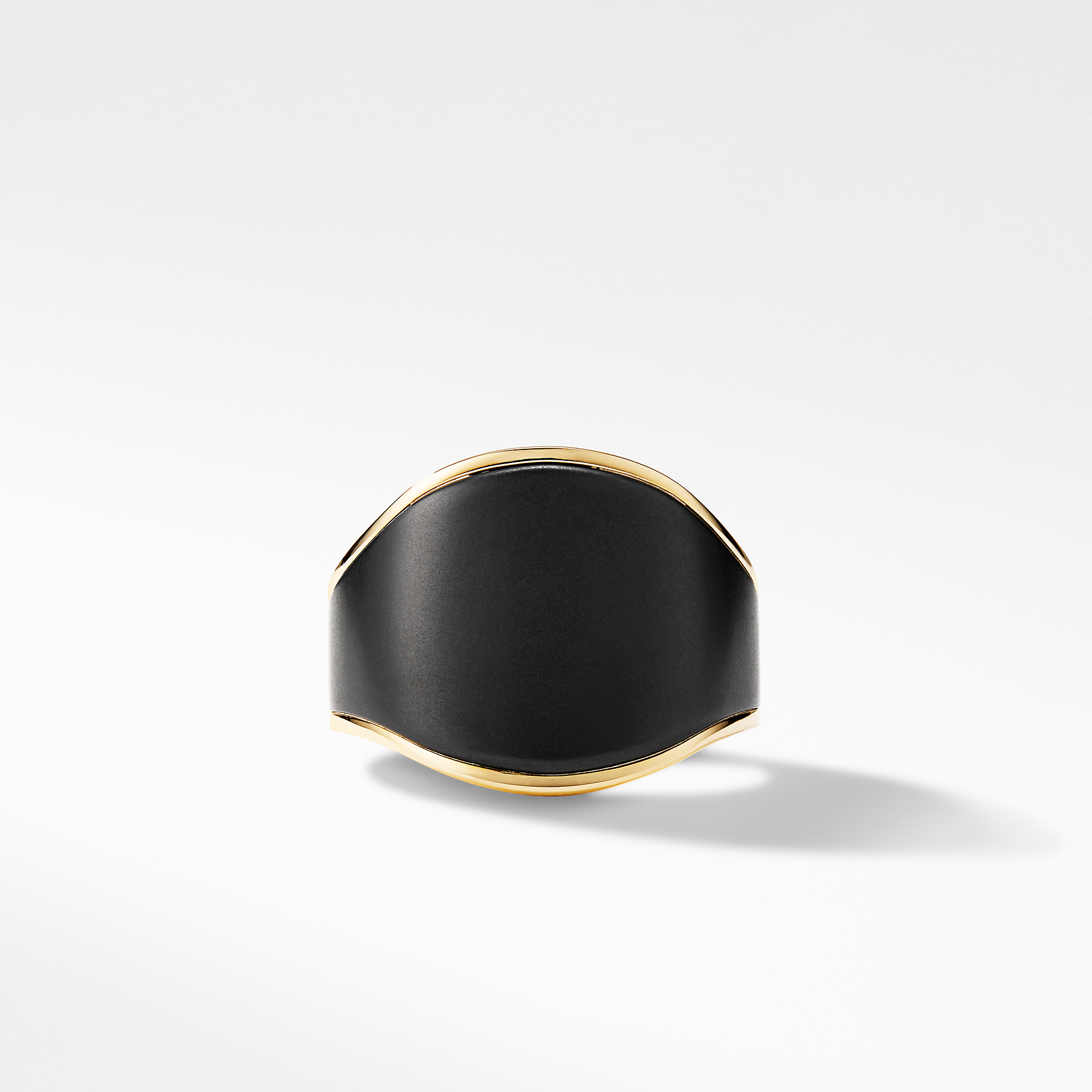 Streamline&reg; Signet Ring in 18K Yellow Gold with Black Titanium_3